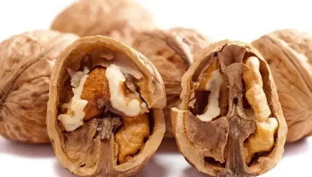 What Does It Mean to See Walnuts in a Dream in Christianity?